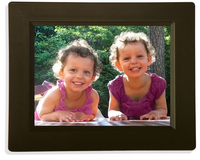 Pigeon Frame